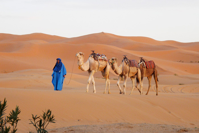 Sud Descobre Deserto 2